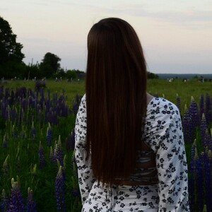 Profile preview